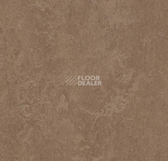 Линолеум Forbo Marmoleum Marbled Fresco 3254-325435 clay фото 1 | FLOORDEALER